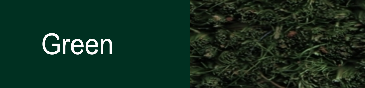 Coloured Coir Matting Entrance Mat