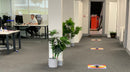 Social Distancing Printed Carpet Tiles - Chase The Rainbow