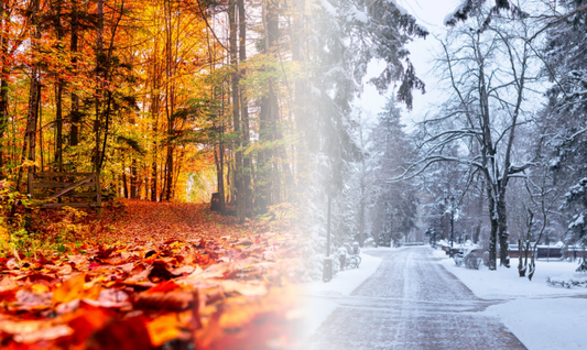 Prepare for Autumn & Winter with Footfall Entrance Mats - A Safety Must