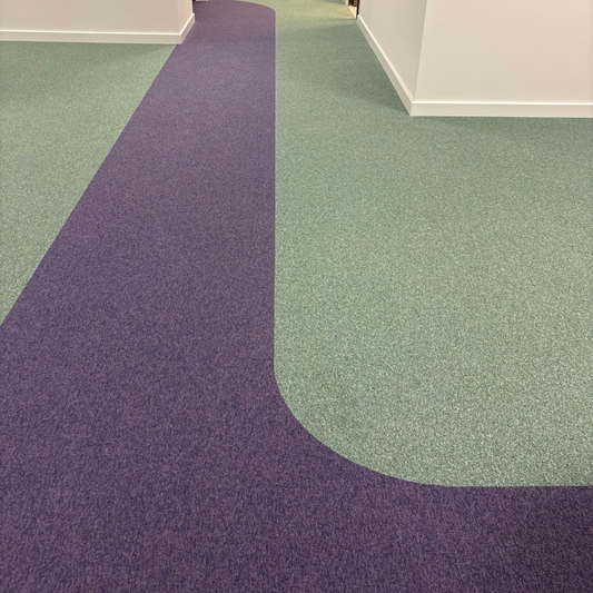 Spotlight Project: Neurodiversity Centre, Sandymount